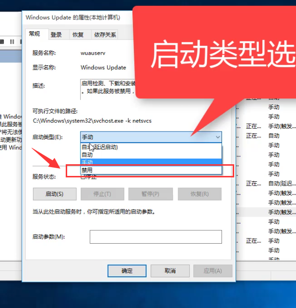 win10系统